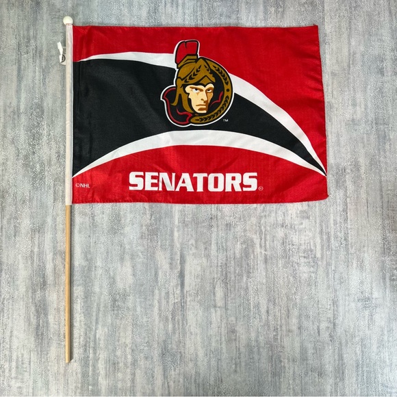 Vintage Ottawa Senators Mini Flag Rare 18”x12.5” NHL Hockey - Picture 2 of 6
